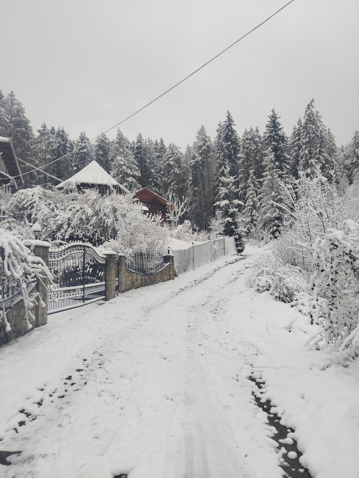 Лісова Казка Villa ยาเรมชา ภายนอก รูปภาพ
